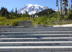 Mt. Rainier John Muir Quote72